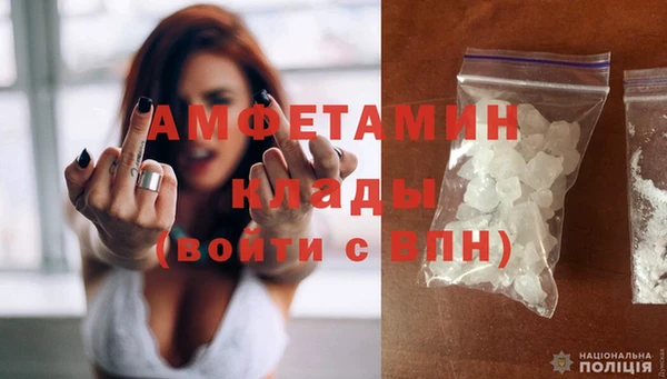 шишки Абаза