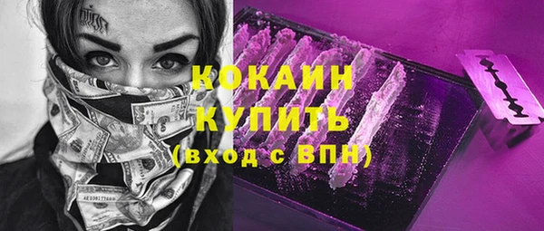 шишки Абаза