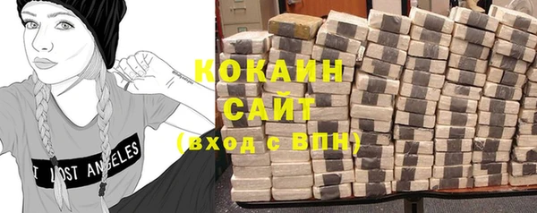 шишки Абаза