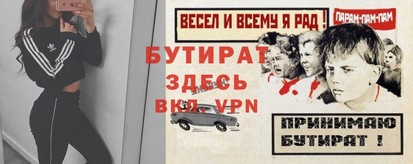 шишки Абаза